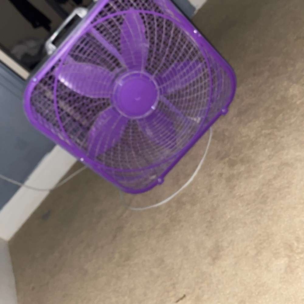 COPY - Purple fan